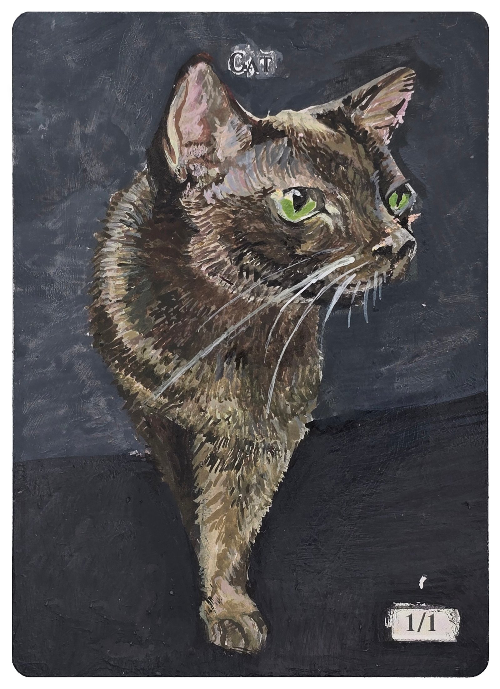 cat token rysiu cat token rysiu