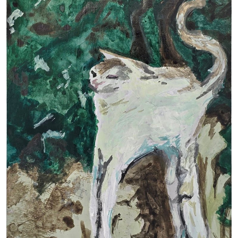cat token 2