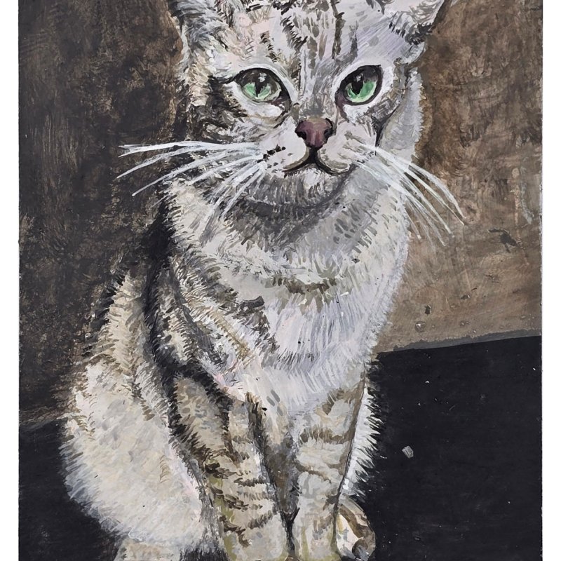 cat token freddy
