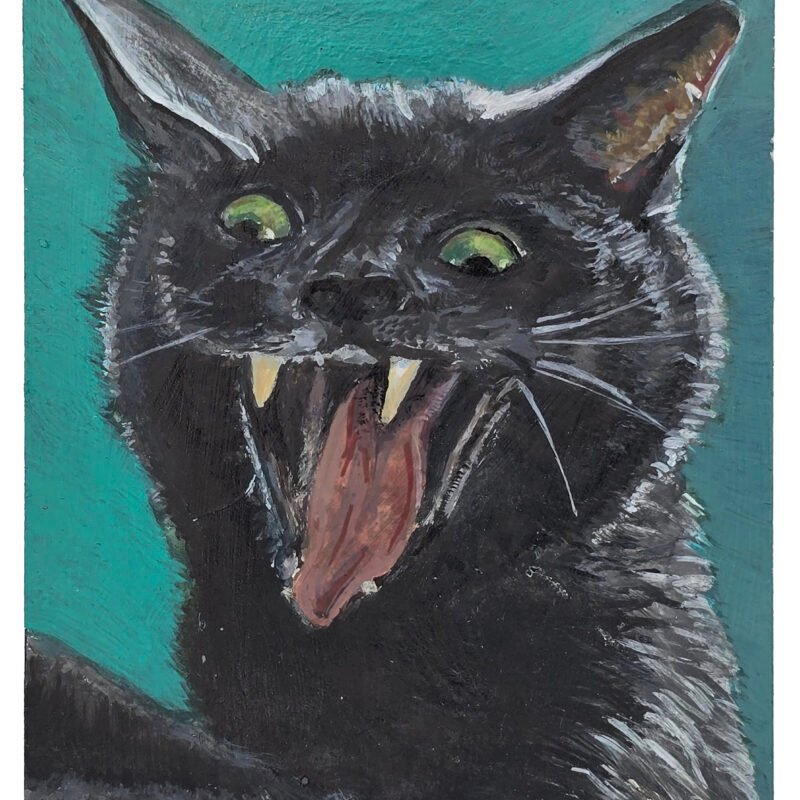 cat token 1 seymour a